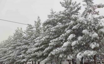 Sason’da yoğun kar yağışı hayatı olumsuz etkiliyor