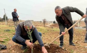 Zeytinli Mahallesi sıfır atık köyü olma yolunda ilerliyor