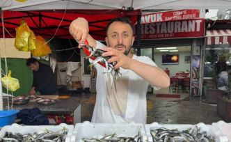 Zonguldak’ta istavrit tezgahta 100 liradan satıldı