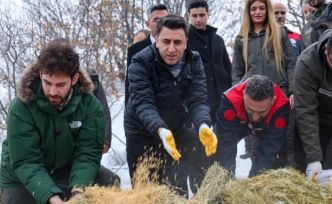 Vali Aygöl, yaban hayvanları için sahada