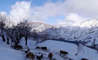Batman’da mart ayında kar yağışı etkili oldu