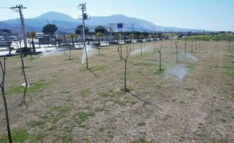 Manisa’da yeşil alanlarda akıllı sulama dönemi başladı