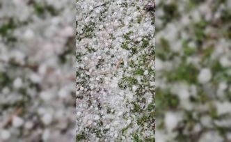 Niğde’de dolu yağışı etkili oldu