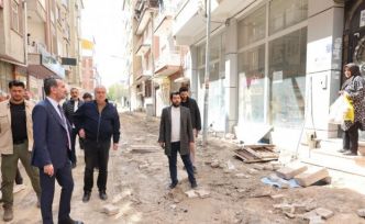 Başkan Şerifoğulları çalışmaları inceledi