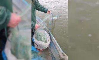 Gölde 800 metre balık ağı ele geçirildi