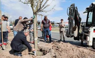 Melikgazi, ağaçlandırma çalışmaları ile geleceğe daha yeşil bir miras bırakıyor