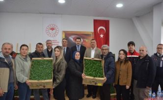 Sinop’ta 135 bin fide toprakla buluşuyor