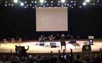 Sivas’ta Nevruz kutlamalarında renkli görüntüler: Sahneye kurtlar çıktı, şahin havada uçtu