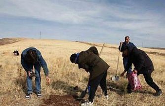 Ahlat’ta "Maziden Atiye" programı kapsamında öğrenciler fidan dikti