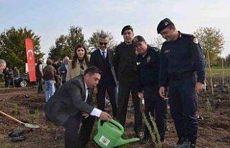 Bafra’da 8 bin fidan toprakla buluştu