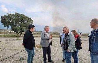 Buharkent’te incir fidanlarında gelişim gözlemi yapıldı