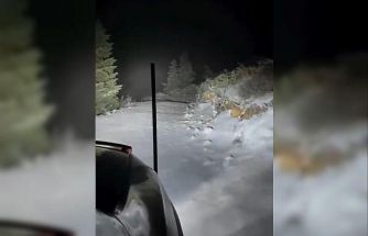 Çankırı’da kar yağışı etkili oldu