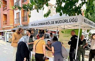 Datça’da ‘Yeşil Vatan’ seferberliği