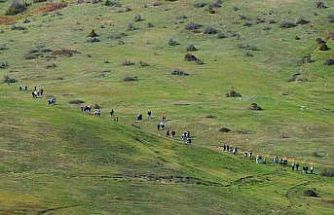 Doğaseverlerin bu haftaki rotası Karagöl ve Sultanpınarı Yaylası oldu