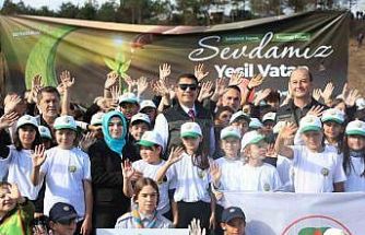 Düzce’de 43 bin 563 fidan toprakla buluştu