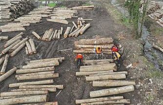 Düzce’de orman ürünü ihracatı geçen yılı geçti