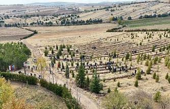 Elazığ’da Doğu Türkistan ve Filistin için fidan diktiler