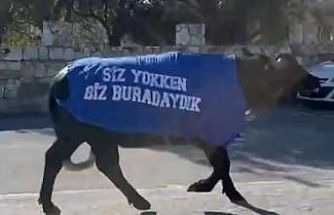 İzmir’de mandalı protesto: Okul sahibinden dikkat çeken tepki