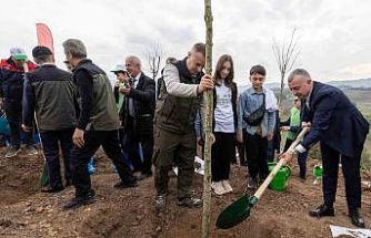 Karamürsel’de yanan bölge 3 bin fidanla yeniden yeşerecek