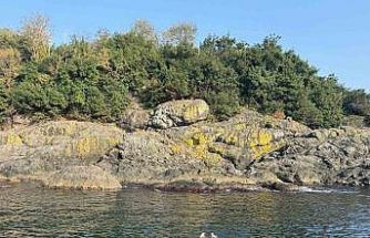 Kasımda deniz keyfi: Giresun Valisi Serdengeçti, adada yüzdü