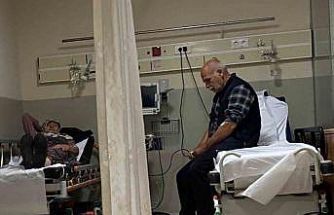 Ormandaki mantarları yiyen 7 kişi hastanelik oldu