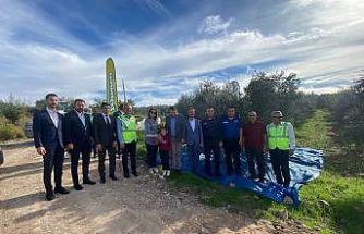 Osmaniye’de zeytin festivali