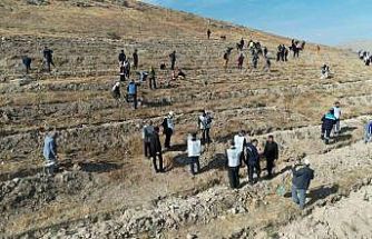 ‘Şahidimiz Toprak, İmzamız Fidan, Sevdamız Yeşil Vatan’ Yahyalı’da hayat buldu