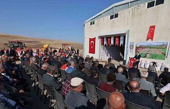 Siirt’te 203 ton kırmızı mercimek çiftçilere dağıtıldı