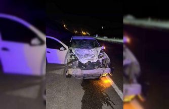 Siirt’te otomobilin çarptığı at telef oldu