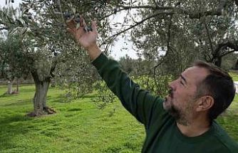 Ünlü komediyen Ata Demirer Çanakkale ve Bozcaada’ya olan aşkını anlattı