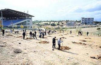 Uşak Üniversitesi, Milli Ağaçlandırma Günü’nde yeşil gelecek için el ele verdi