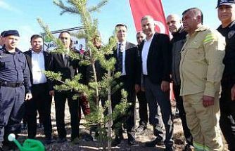 Yeşil Vatan Şehidi Bayram Eren Arslan adına Sorgun’da hatıra ormanı oluşturuldu