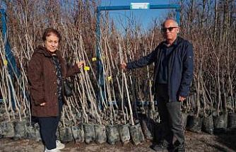 75 üreticiye 3 bin 600 fidan