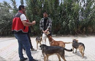 Adana’da 2025’te 3 bin 865 kedi ve 3 bin 577 köpeğe çip takıldı