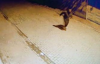 Adana’da evin camlarına taş atıp kaçtı: O anlar kamerada