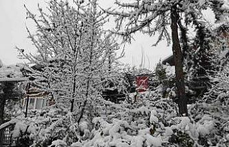 Adanalıların kar sevinci