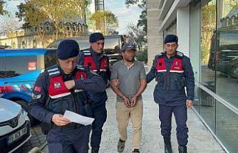 Ağaç kesimi sırasında komşusunun ölümüne sebep olan şahıs tutuklandı