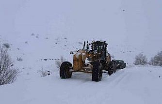 Ağrı’da kar yağışı 423 köy yolunu ulaşıma kapattı