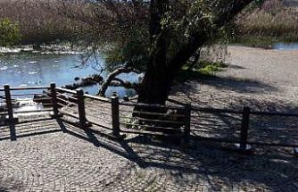 Akyaka Kadın Azmağında doğal dokuyu koruyan çalışma tamamlandı