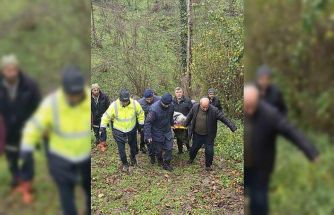 Alzheimer hastası kayıp kadın ormanlık alanda yaralı halde bulundu