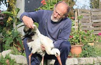 Annesinin yuvadan attığı leyleğe, mahalleli anne ve baba oldu