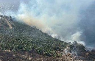 Antalya’da muz bahçesinde yangın
