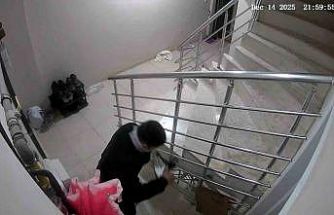 Apartmandan ayakkabı hırsızlığı kameraya yansıdı
