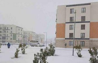 Araban Ovası’na kar yağışı çiftçilerin yüzlerini güldürdü