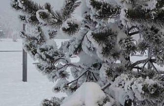 Ardahan’da dondurucu soğuklar etkisini artırdı: Ağaçlar kırağı tuttu