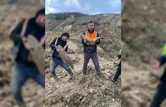 Arnavutköy’de İBB’nin döküm sahasına çevirdiği Mavi Göl’de balıklar can çekişiyor