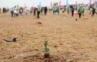 ATÜ yeşil kampüs olma yolunda ilerliyor: Dikilen fidan sayısı 22 bin 500’ü buldu