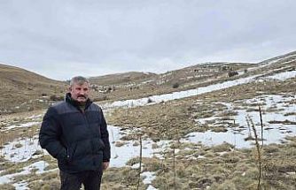 Babasıyla tartıştı, vadeli koyun alarak kendi sürüsüne sahip oldu