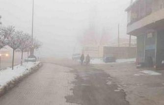 Başkale’de sis etkili oldu