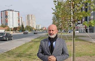 Başkan Çolakbayrakdar: "Yeşil alanda dünya standartlarını üçe katlıyoruz"